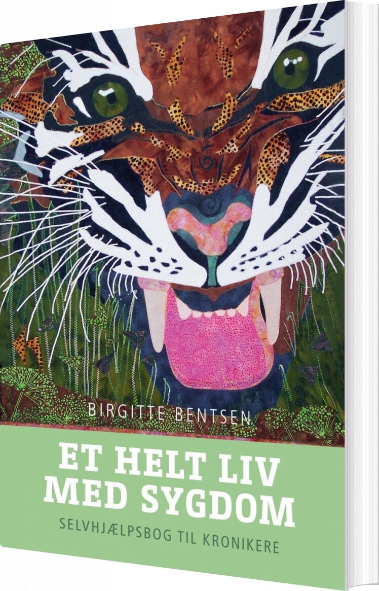 Et Helt Liv Med Sygdom   Birgitte Bentsen   Bog