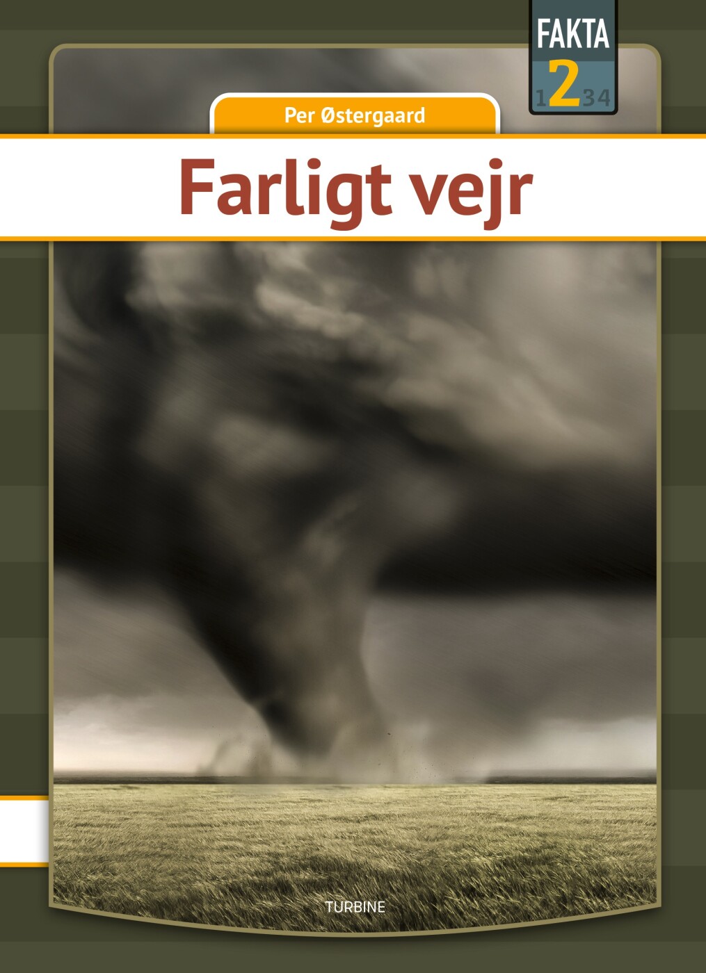 Farligt Vejr   Per østergaard   Bog