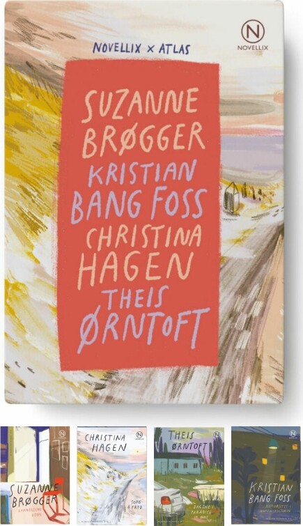 Fire Essays Fra Novellix   Suzanne Brøgger   Bog