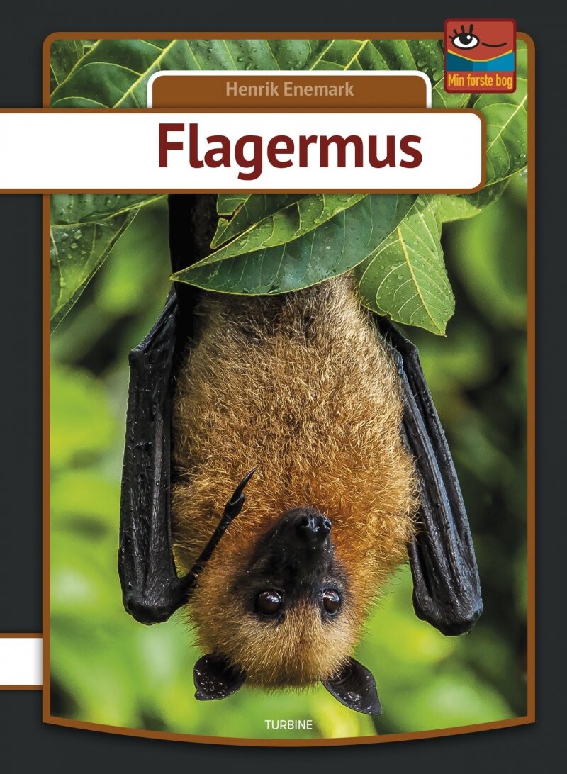 Flagermus   Henrik Enemark   Bog