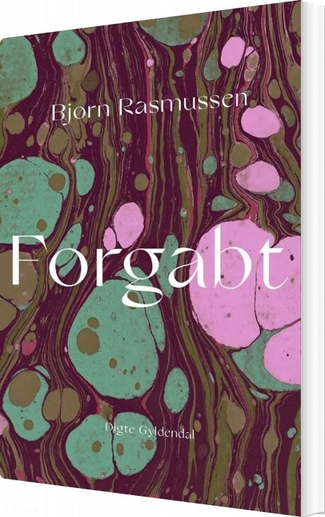 Forgabt Bjørn Rasmussen Bog