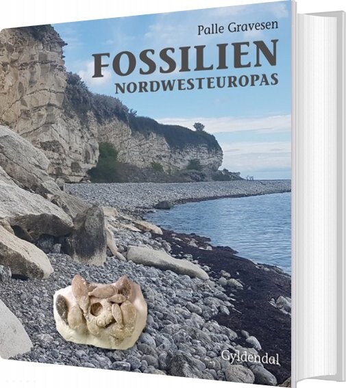 Fossilien Nordwesteuropas Palle Gravesen Bog