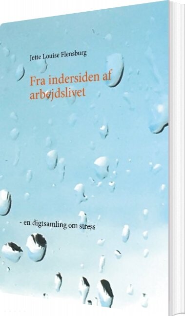 Fra Indersiden Af Arbejdslivet   Jette Louise Flensburg   Bog