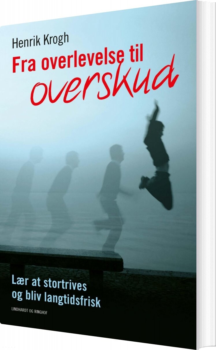Fra Overlevelse Til Overskud Henrik Krogh Bog