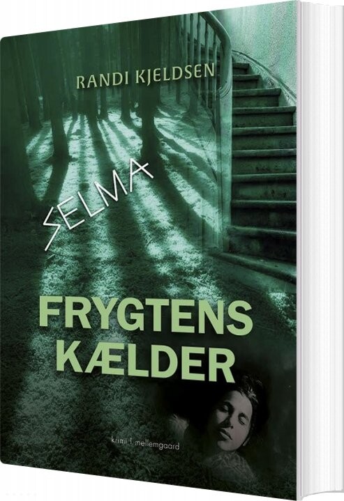 Frygtens Kælder   Randi Kjeldsen   Bog