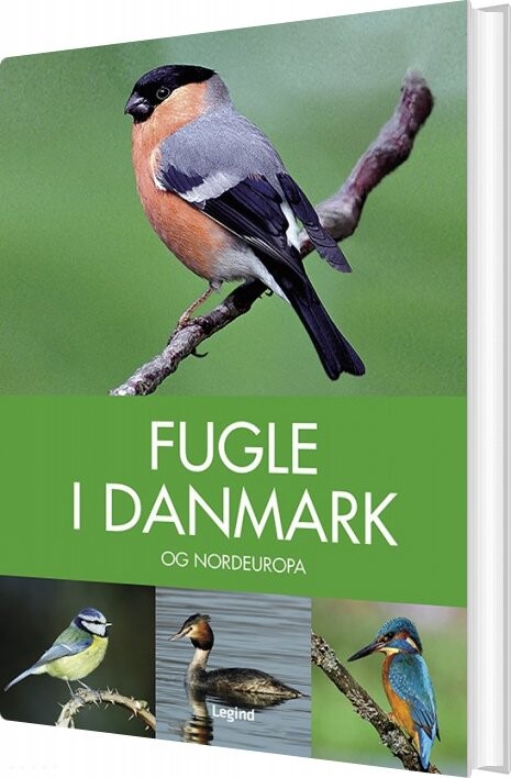 Fugle I Danmark   Peter Goodfellow   Bog
