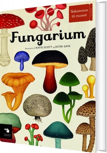 Fungarium   Katie Scott   Bog
