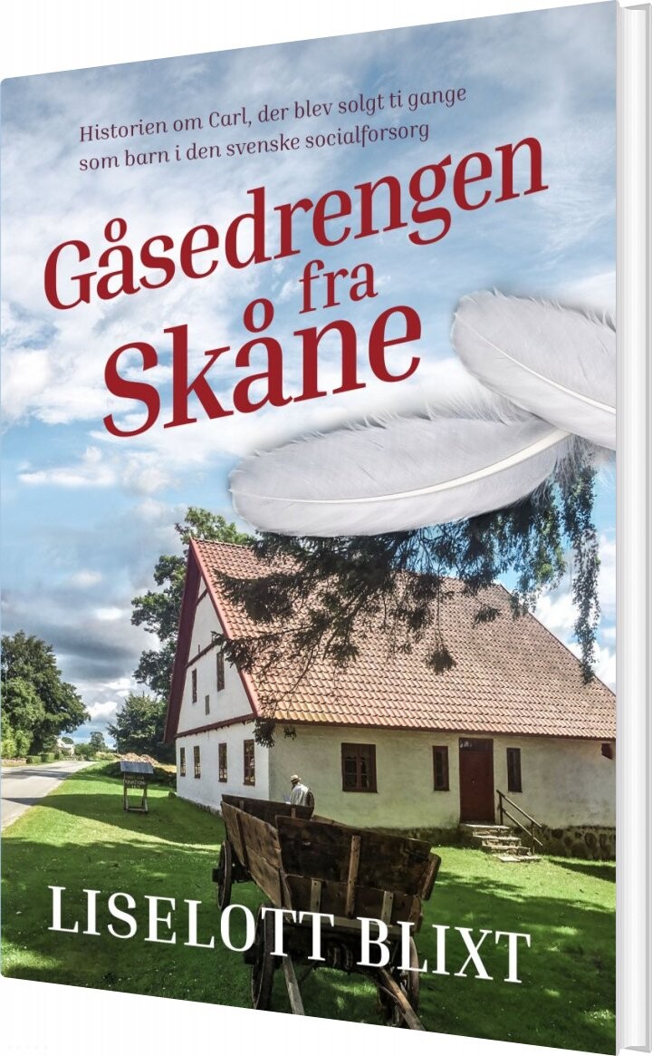 Gåsedrengen Fra Skåne   Liselott Blixt   Bog