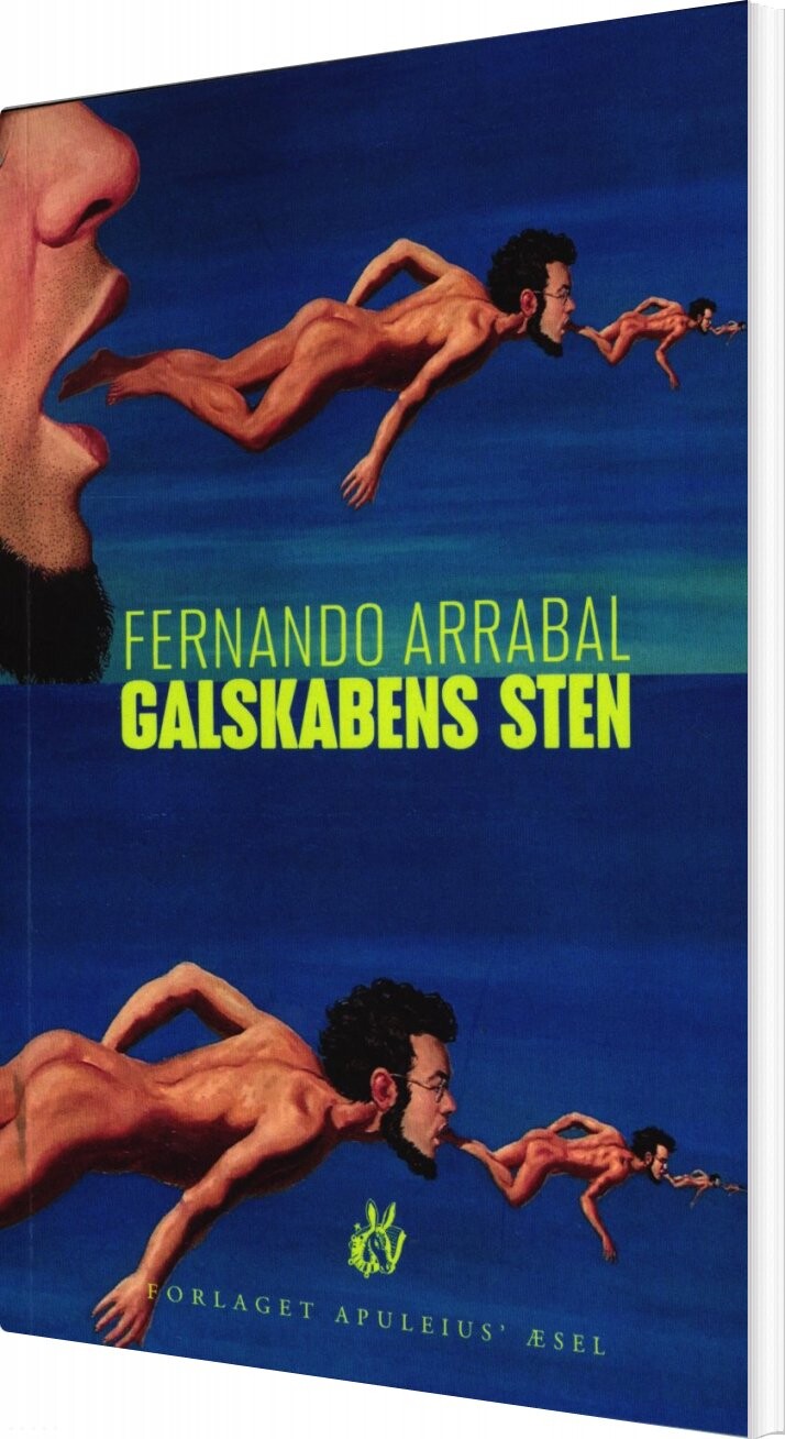 Galskabens Sten Fernando Arrabal Bog