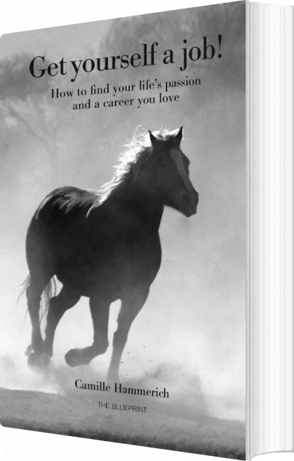 Get Yourself A Job   Camille Hammerich   English Book