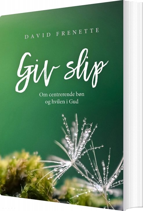 Giv Slip   David Frenette   Bog