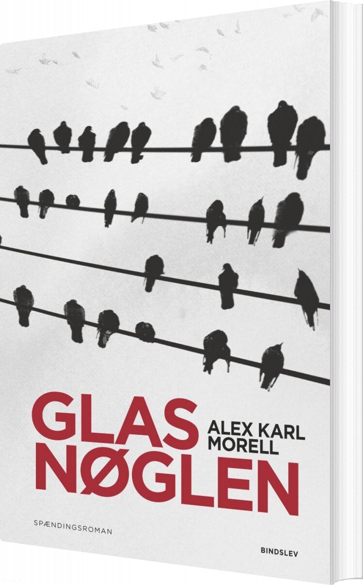 Glasnøglen   Alex Karl Morell   Bog