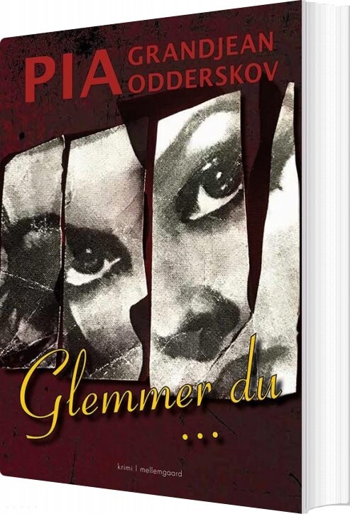 Glemmer Du   Pia Grandjean Odderskov   Bog