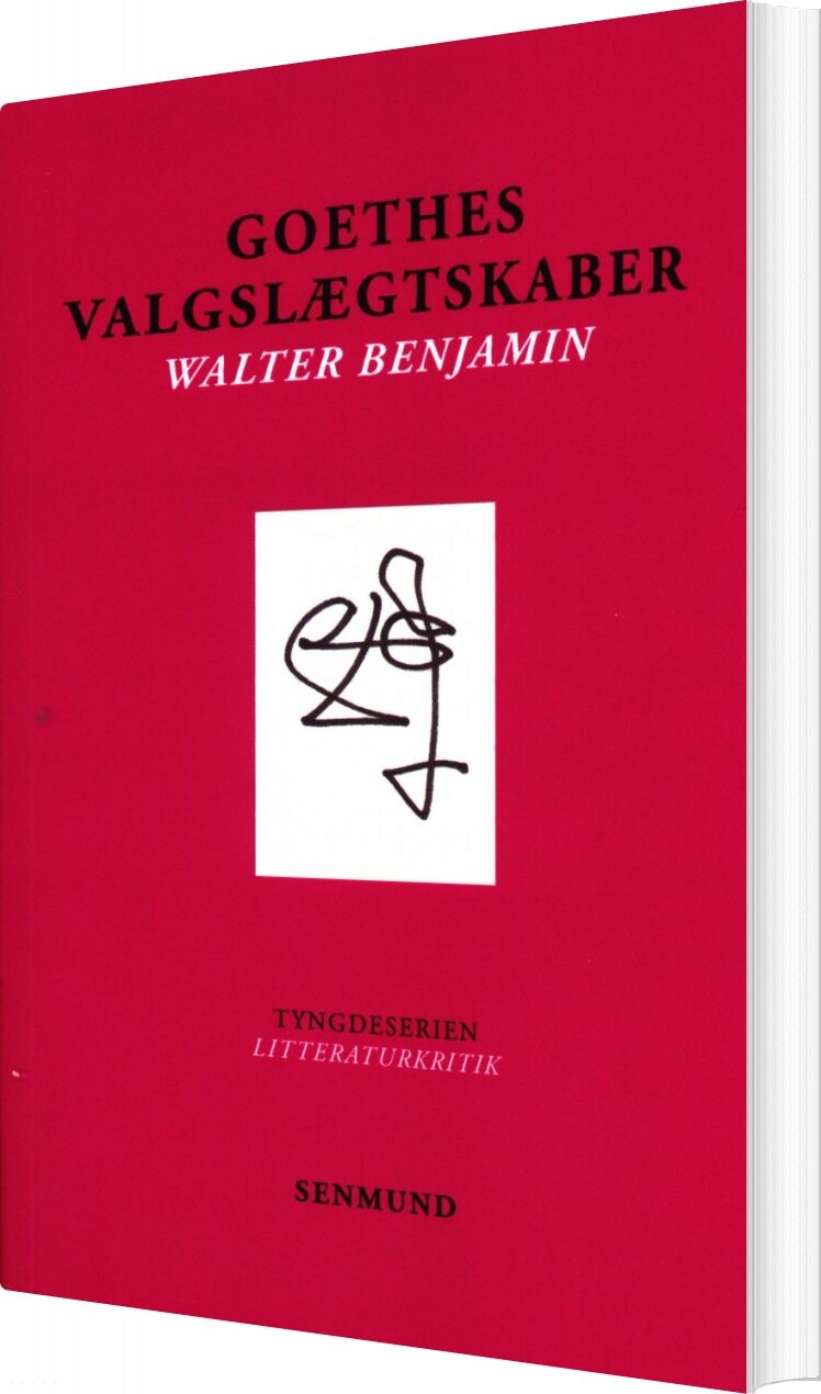 Goethes Valgslægtskaber   Walter Benjamin   Bog