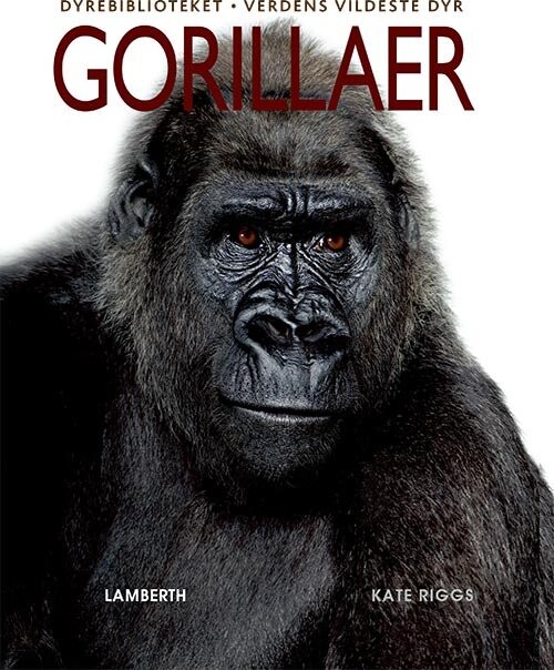 Gorillaer   Kate Riggs   Bog