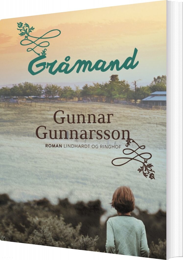Gråmand   Gunnar Gunnarsson   Bog