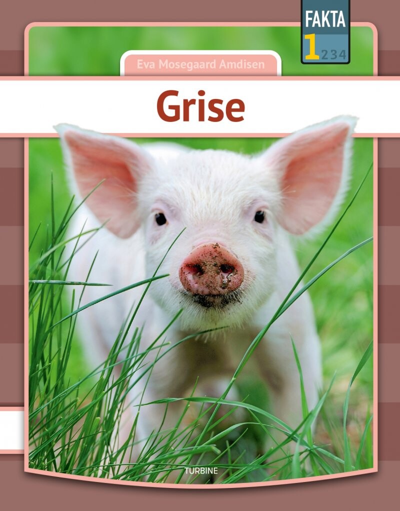 Grise   Eva Mosegaard Amdisen   Bog