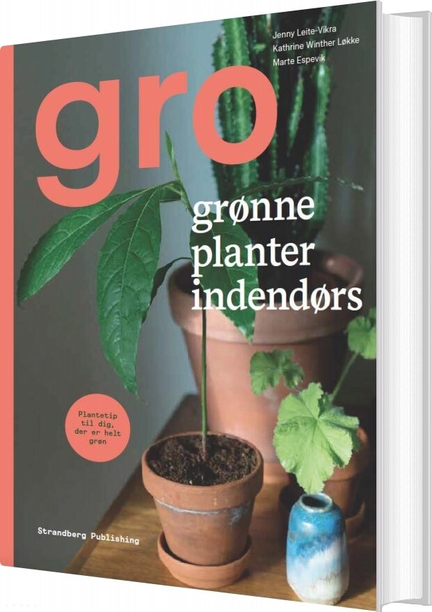 Gro   Jenny Leite Vikra   Bog