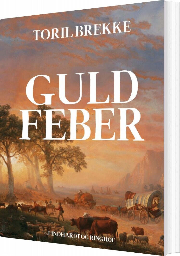 Guldfeber   Toril Brekke   Bog