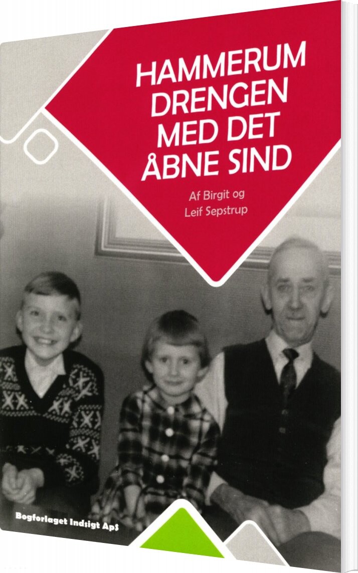Hammerum Drengen Med Det åbne Sind   Leif Sepstrup   Bog