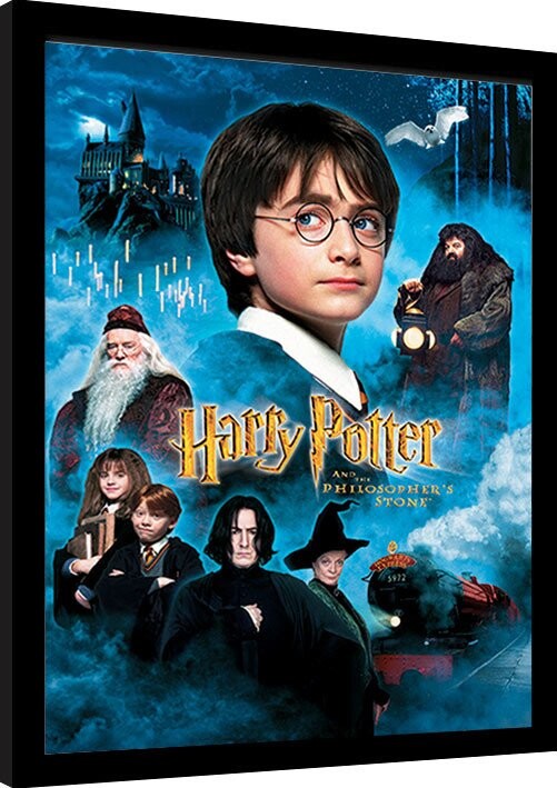 Harry Potter Og De Vises Sten   Dvd   Film