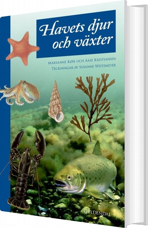 Havets Dyr Og Planter   Aase Kristiansen   Bog
