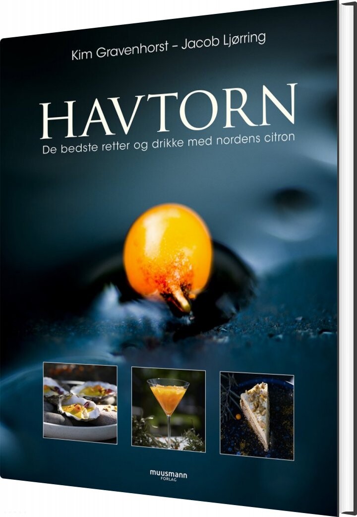 Havtorn   Kim Gravenhorst   Bog