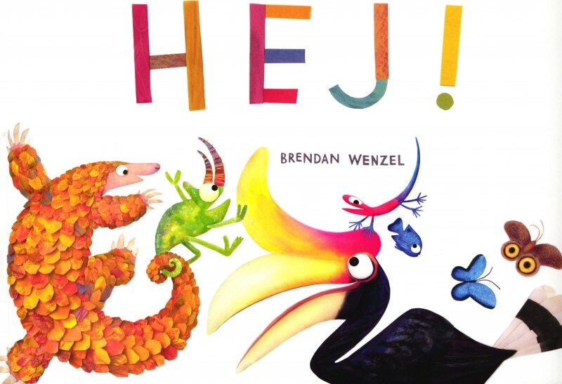 Hej    Brendan Wenzel   Bog