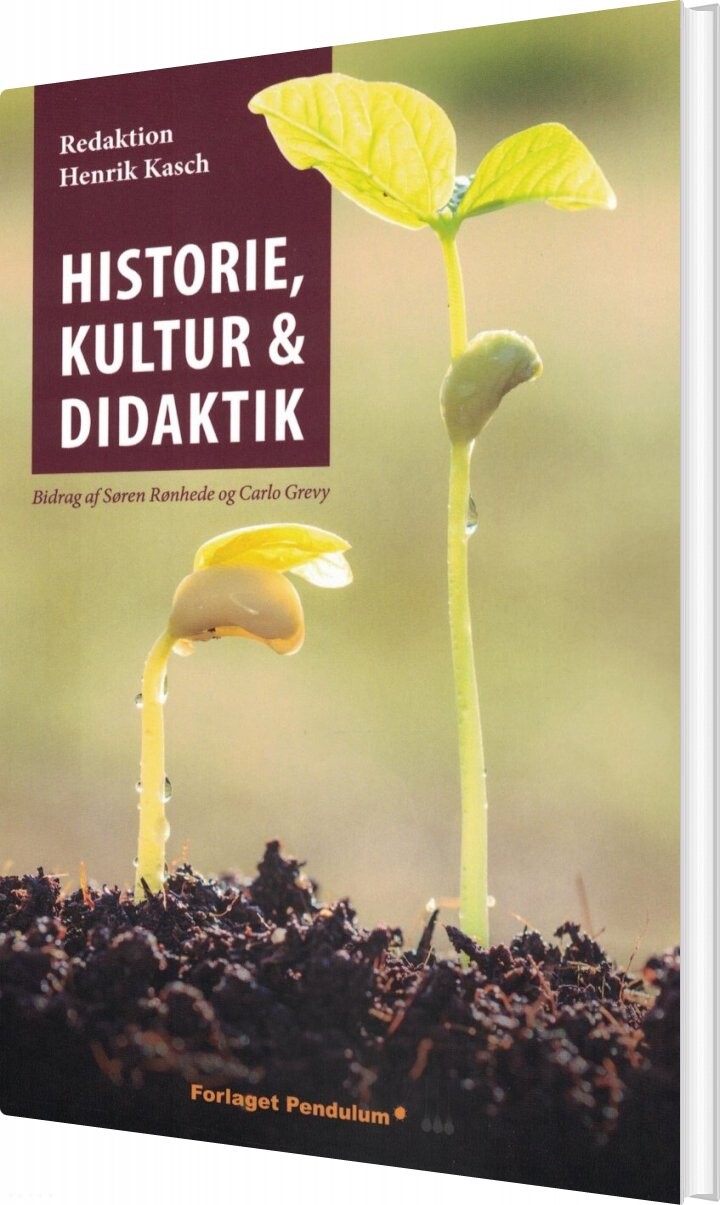 Historie  Kultur Og Didaktik   Carlo Grevy   Bog