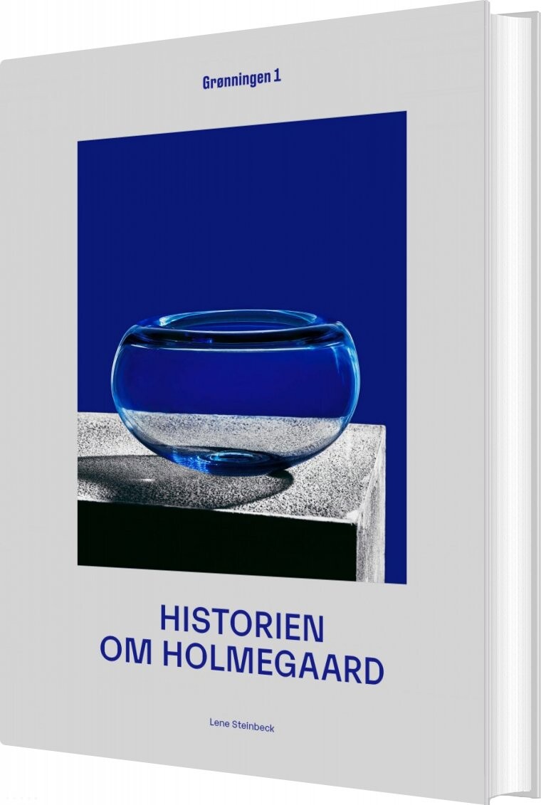 Historien Om Holmegaard Lene Steinbeck Bog