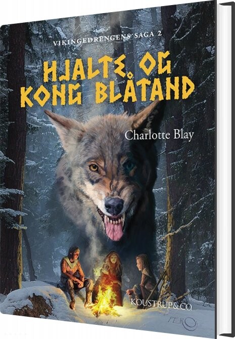 Hjalte Og Kong Blåtand   Charlotte Blay   Bog