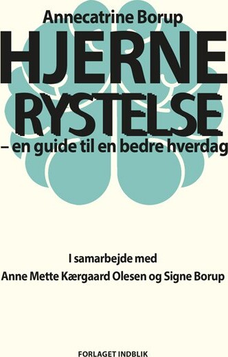 Hjernerystelse   Annecatrine Borup   Bog