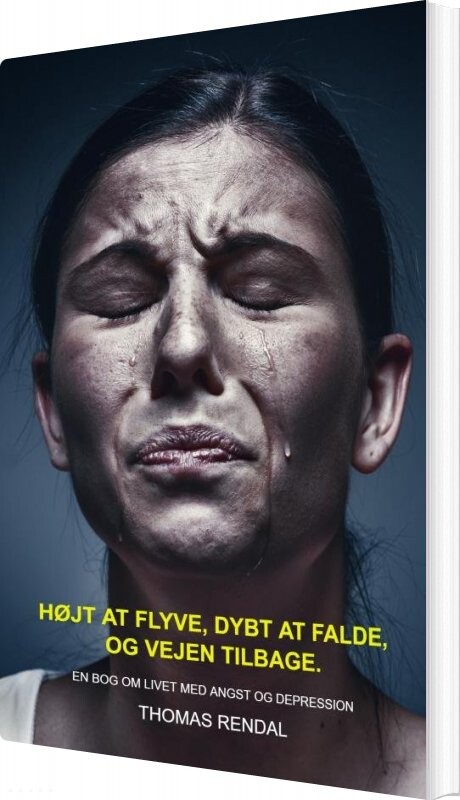 Højt At Flyve Dybt At Falde Og Vejen Tilbage Thomas Rendal Bog