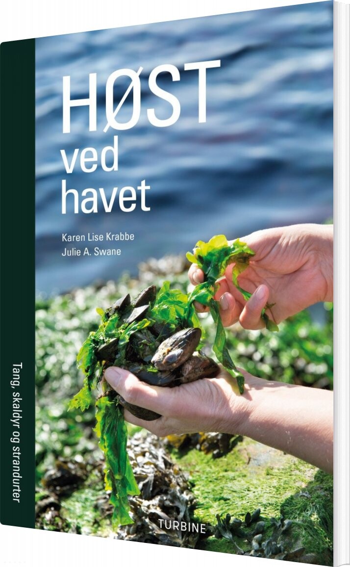 Høst Ved Havet   Karen Lise Krabbe   Bog