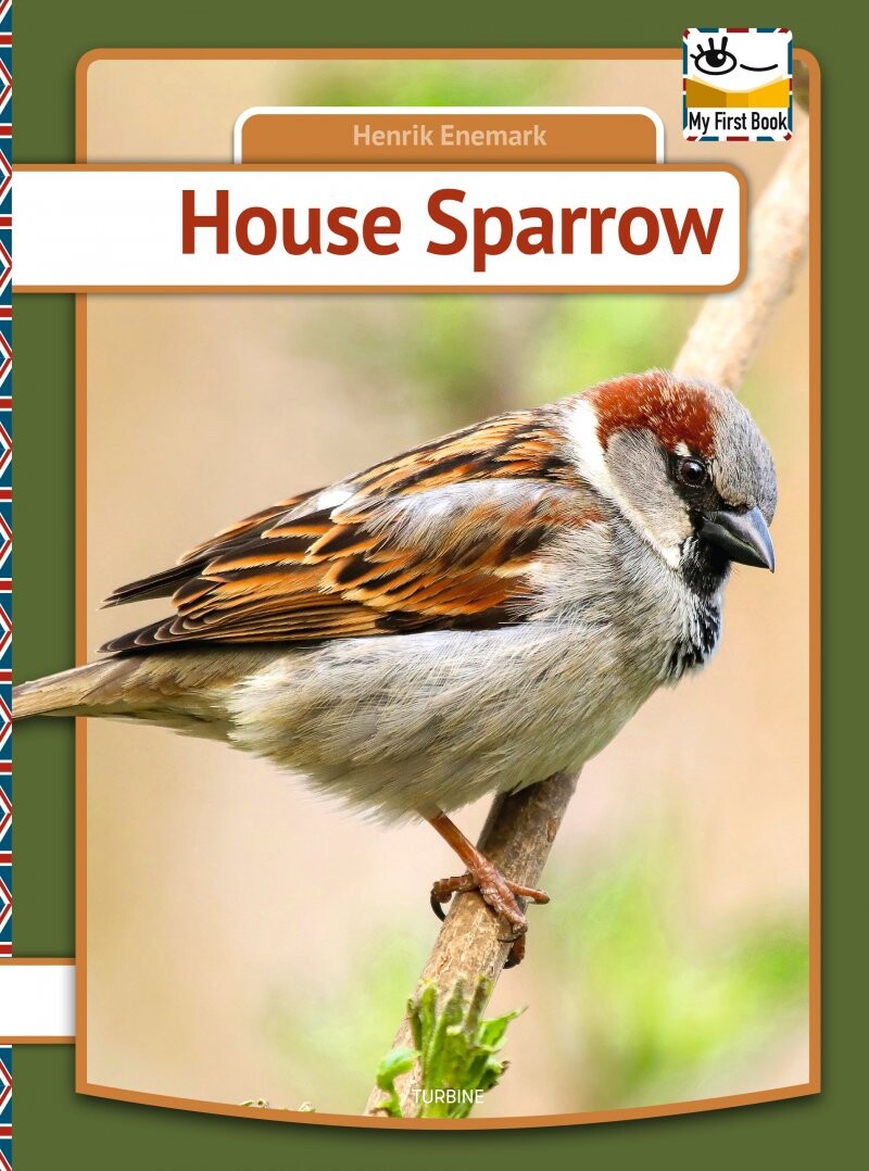 House Sparrow   Henrik Enemark   English Book