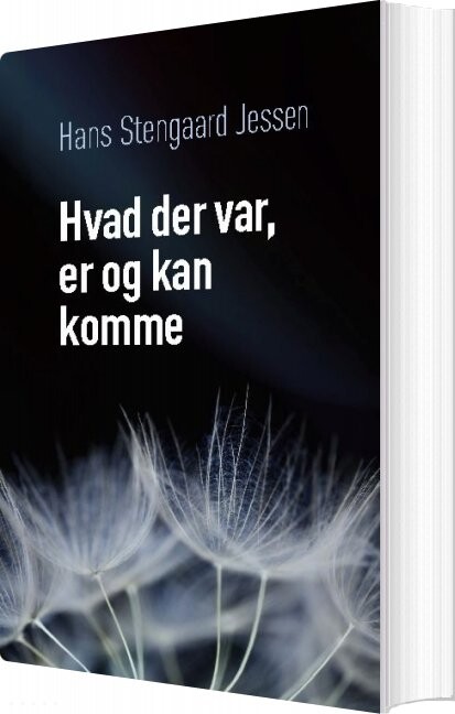 Hvad Der Var  Er Og Kan Komme   Hans Stengaard Jessen   Bog