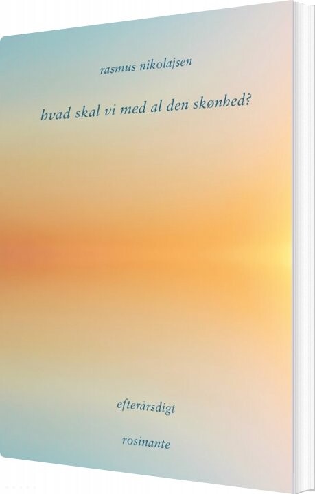 Hvad Skal Vi Med Al Den Skønhed    Rasmus Nikolajsen   Bog