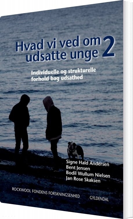 Hvad Vi Ved Om Udsatte Unge 2 Rockwool Fondens Forskningsenhed Bog