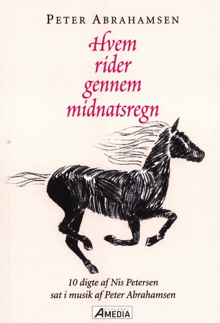 Hvem Rider Gennem Midnatsregn   Peter Abrahamsen   Bog