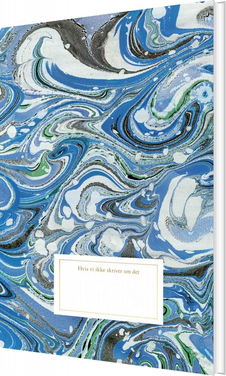 Hvis Vi Ikke Skriver Om Det   Notesbog   Leonora Christina Skov   Bog