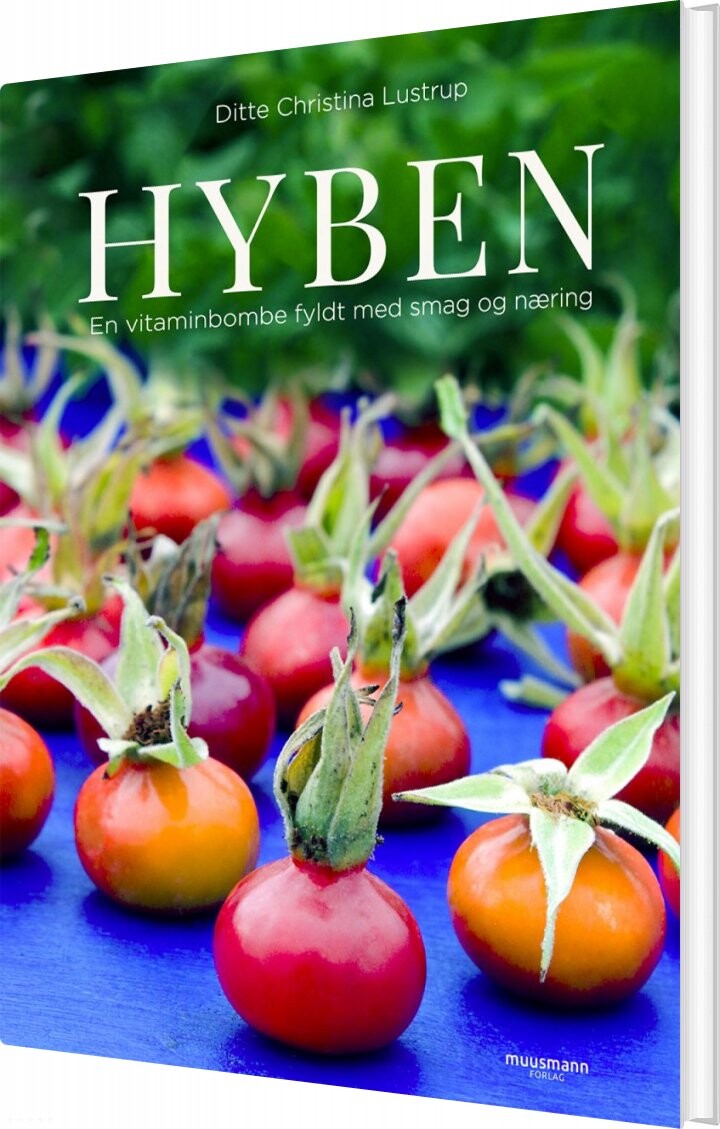 Hyben   Ditte Christina Lustrup   Bog