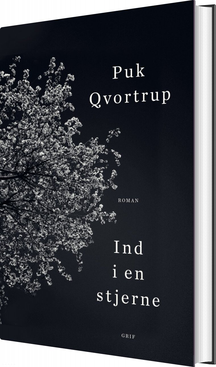Ind I En Stjerne   Puk Qvortrup   Bog