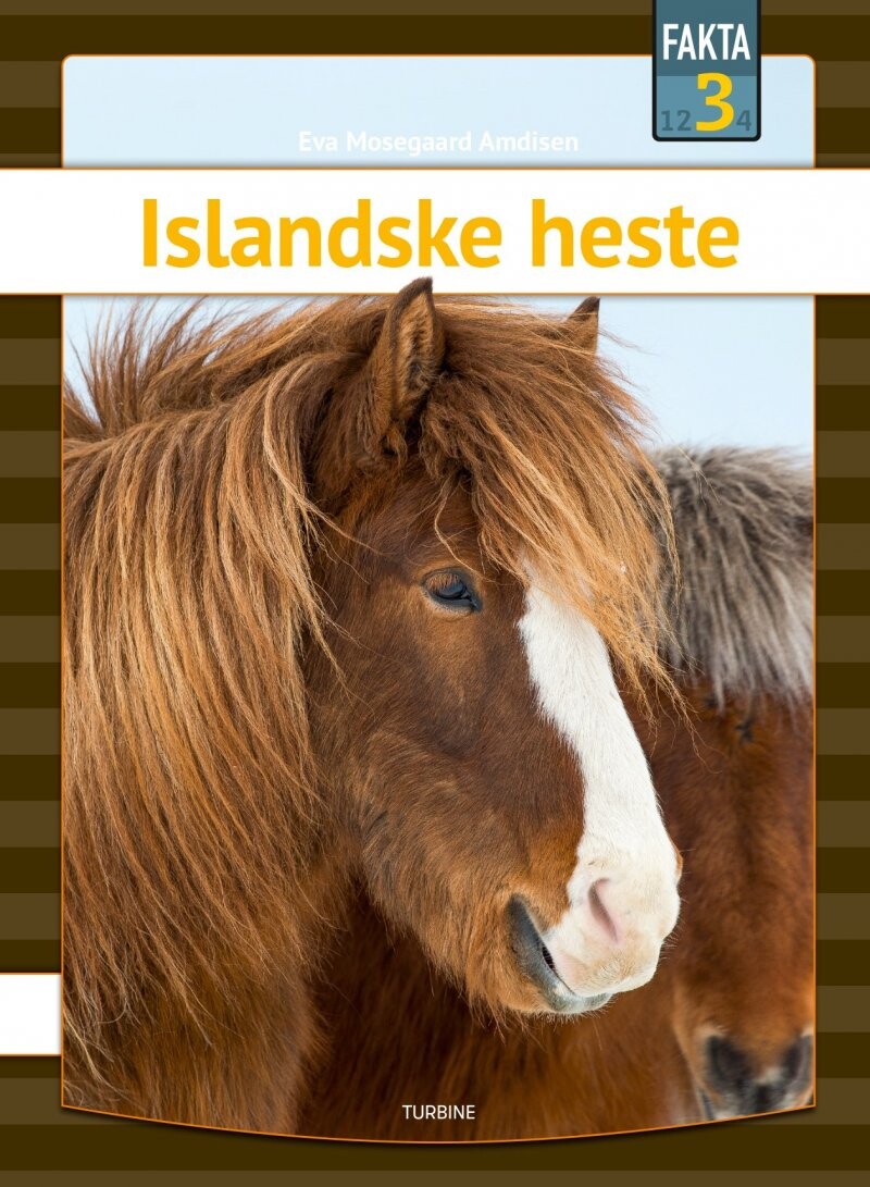 Islandske Heste   Eva Mosegaard Amdisen   Bog