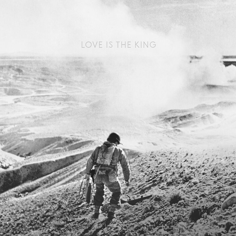 Jeff Tweedy   Love Is The King   Vinyl Lp