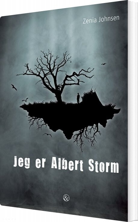 Jeg Er Albert Storm   Zenia Johnsen   Bog