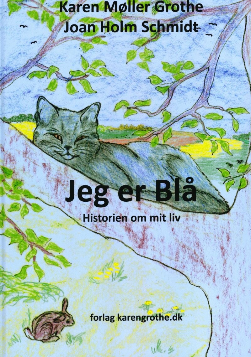 Jeg Er Blå   Karen Møller Grothe   Bog