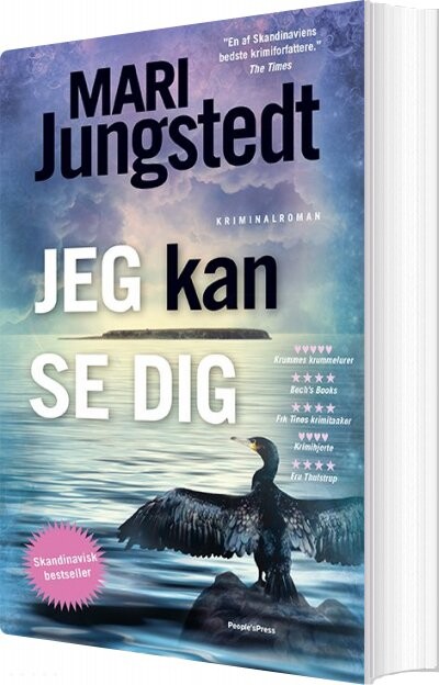 Jeg Kan Se Dig Mari Jungstedt Bog