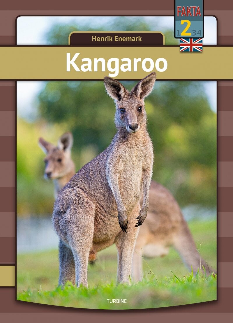 Kangaroo   Henrik Enemark   English Book
