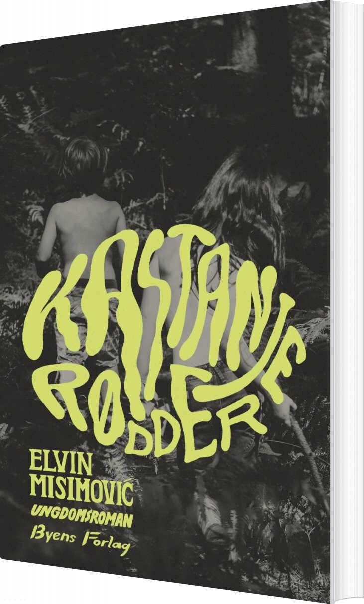 Kastanjerødder   Elvin Misimovi   Bog