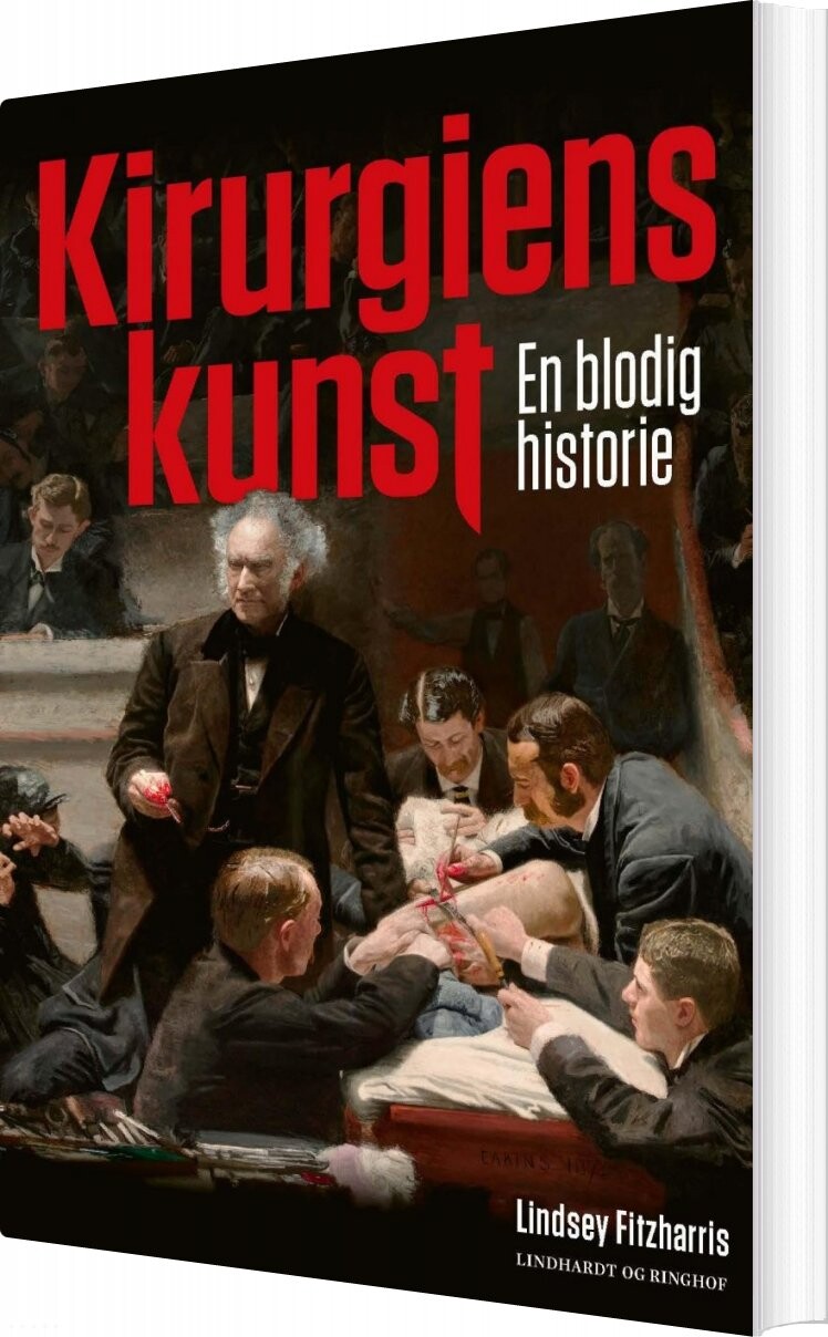 Kirurgiens Kunst Lindsey Fitzharris Bog